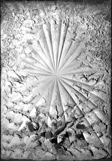 Jay DeFeo, The Rose