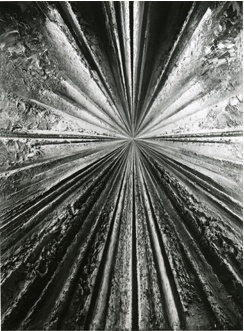 Jay DeFeo, The Rose