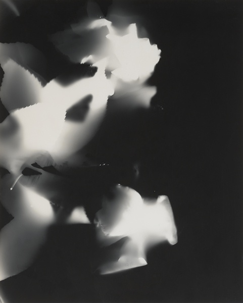 Jay DeFeo, Roses (Salvador Dalí's Birthday Party), May 11, 1973