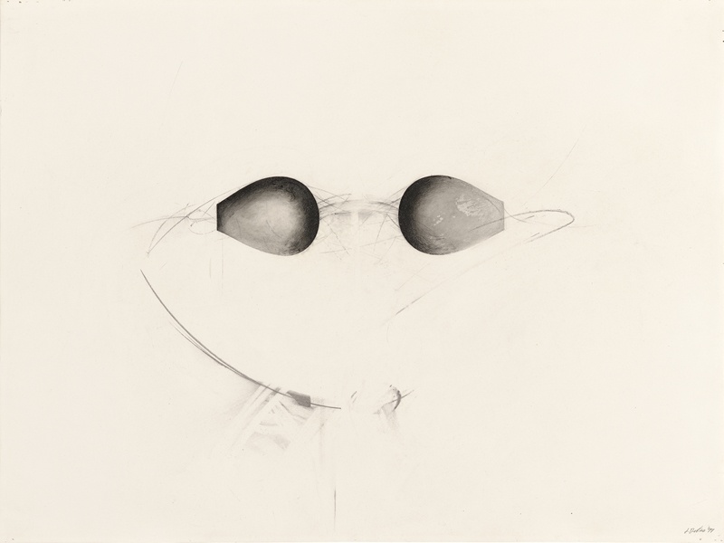 Reverse (Water Goggles series), 1977