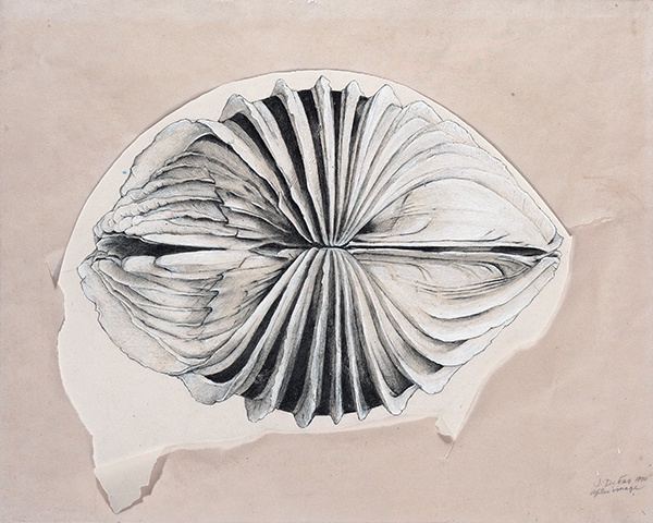 Jay DeFeo, After Image, 1970