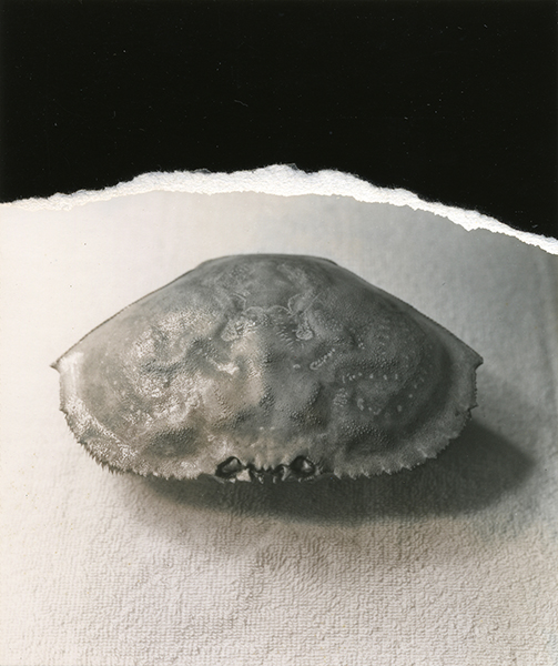 Jay DeFeo, Untitled, 1973