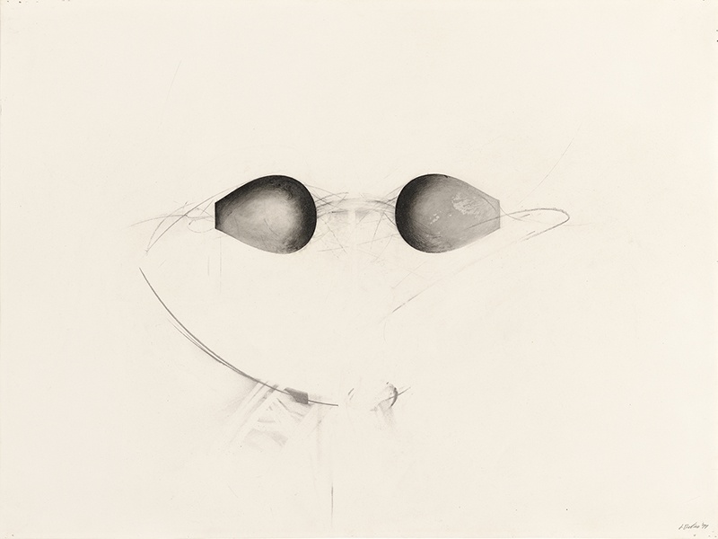 Jay DeFeo, Reverse (Water Goggles series), 1977