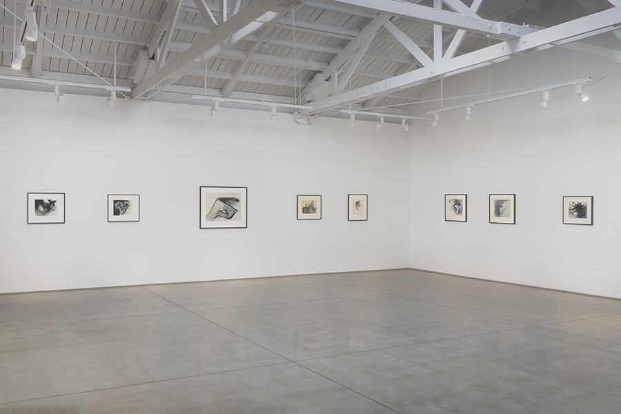 Robert Wedemeyer. Installation view of Jay DeFeo: Space Exploration, January 17 - March 21, 2026, at Marc Selwyn Fine Art, Beverly Hills, CA.