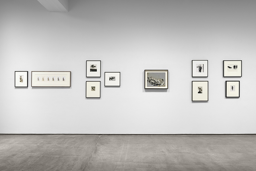 Steven Probert, Installation view of Inventing Objects: Jay DeFeo's Photographic Works, September 9 - October 28, 2023, at Paula Cooper Gallery, New York