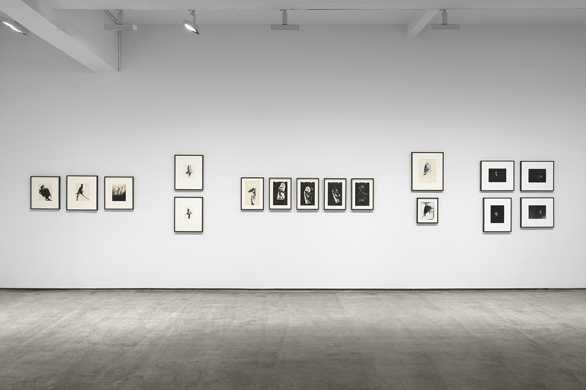 Steven Probert, Inventing Objects: Jay DeFeo’s Photographic Work, Paula Cooper Gallery, New York, September 9 – October 28, 2023.