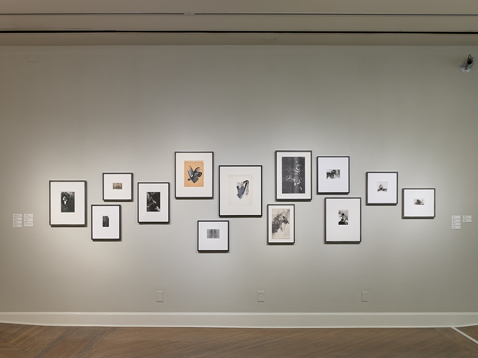 Phil Bond, Installation view of Jay DeFeo: Undersoul at San José Museum of Art, March 8 - July 7, 2019